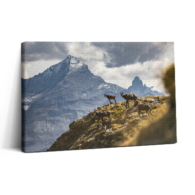 Vászonkép nyomtatás 30x20 Kecskék és az olaszországi Aosta-völgy
