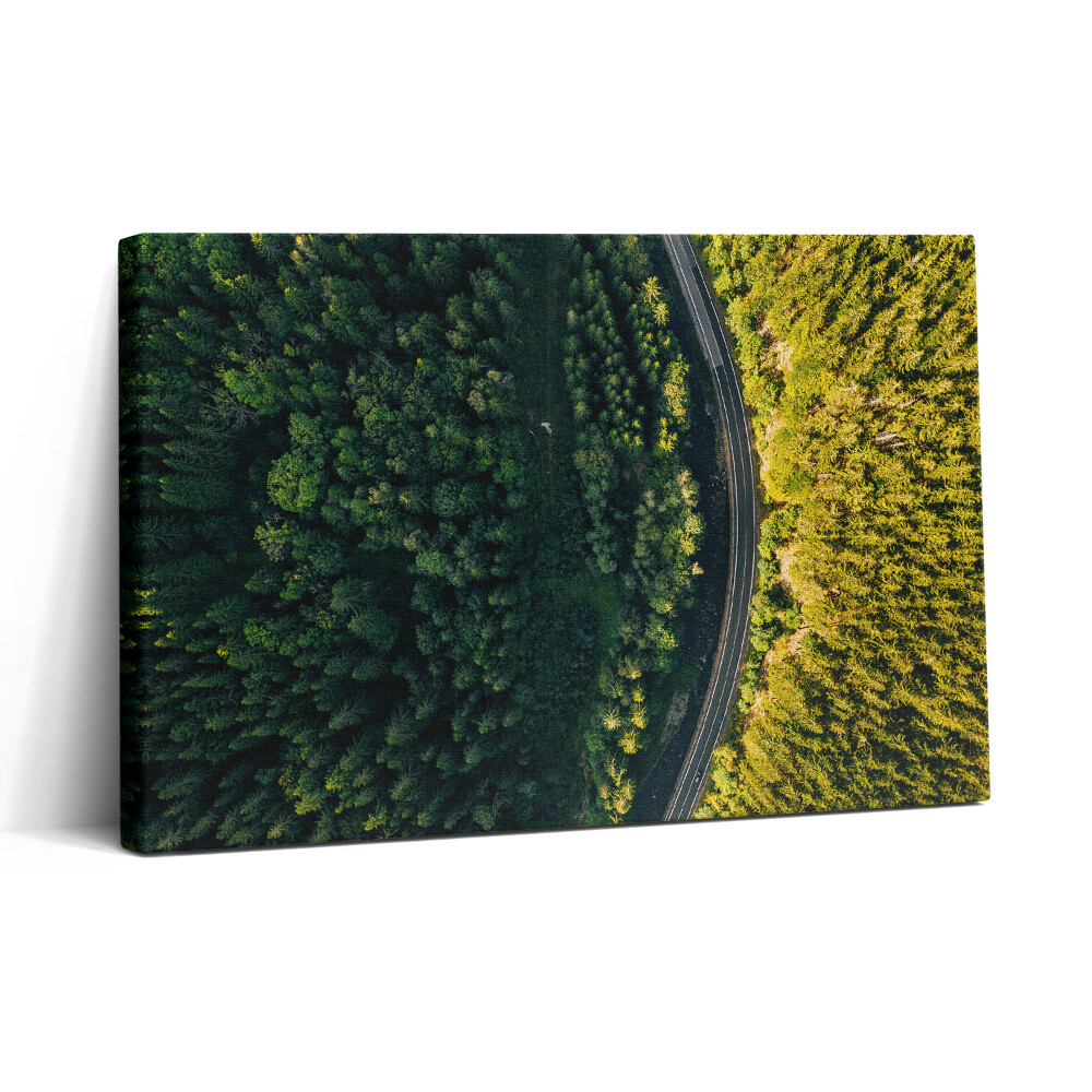 Vászonkép nyomtatás 30x20 Erdő drónról - Hóhegy