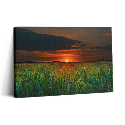 Vászonkép nyomtatás 30x20 Napraforgó a réten