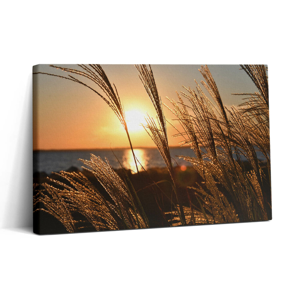 Vászonkép nyomtatás 30x20 Búza az arany órában