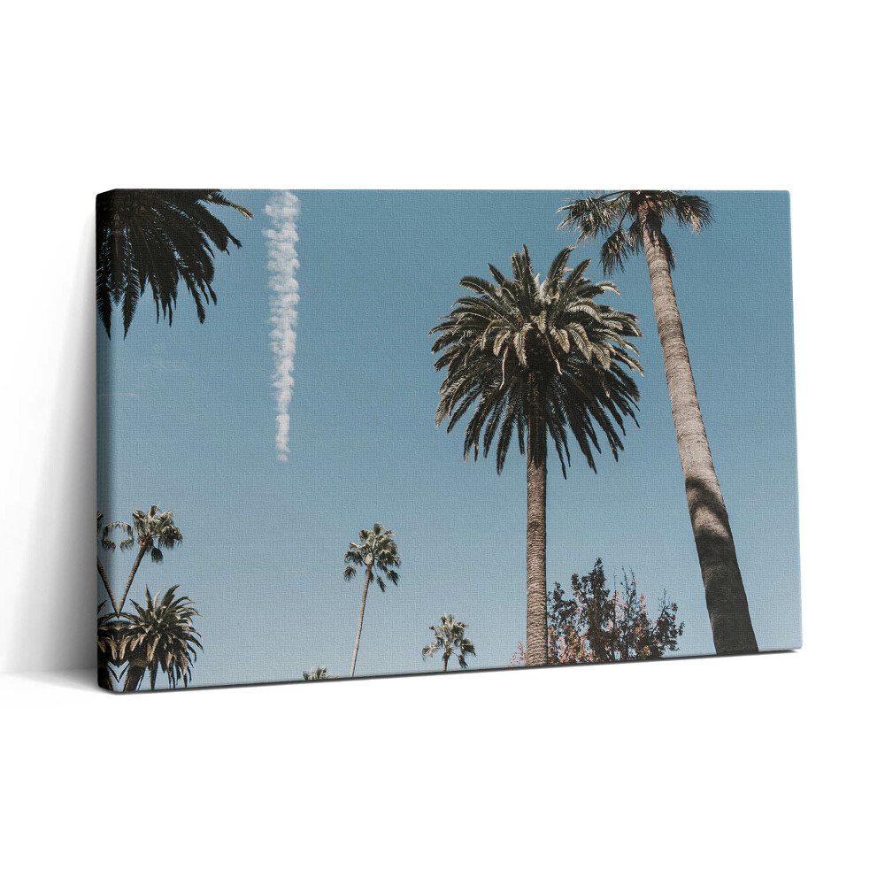 Vászonkép nyomtatás 30x20 Pálmafák Los Angelesben