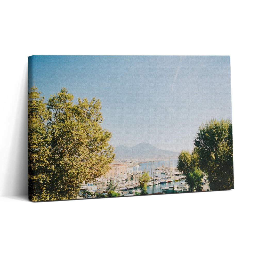 Vászonkép nyomtatás 30x20 Zöld fák Nápolyban