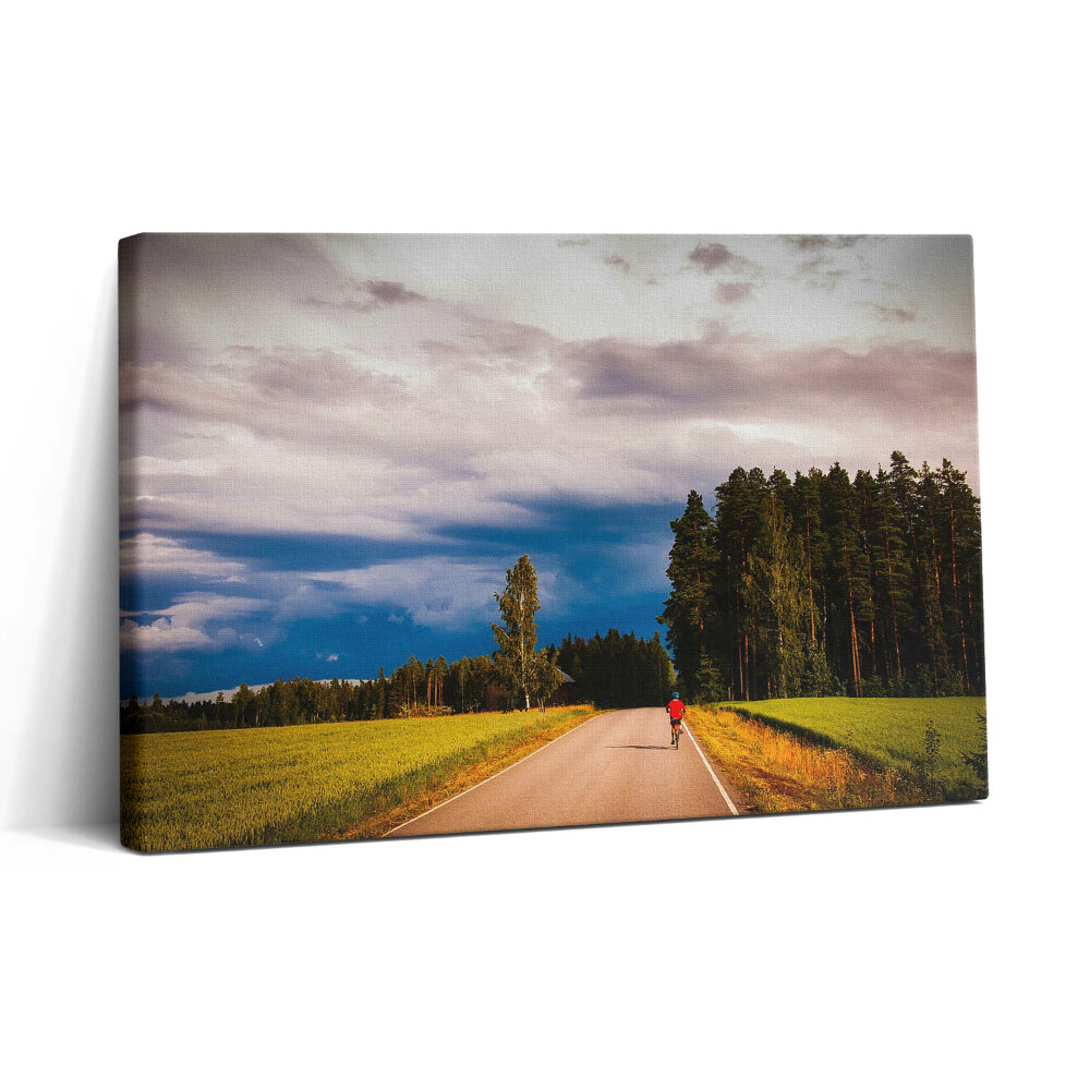 Vászonkép nyomtatás 30x20 Rendezett kerékpárút