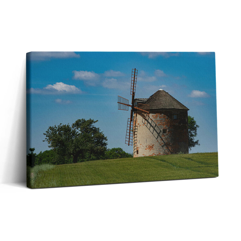 Vászonkép nyomtatás 30x20 Szélmalom Morvaországban