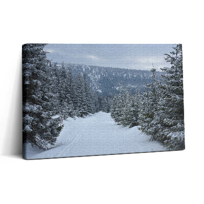 Vászonkép nyomtatás 30x20 Cseh óriás hegyek télen