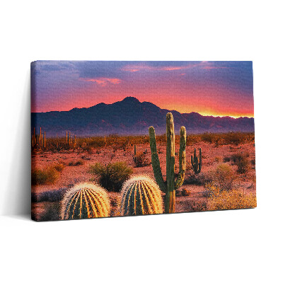 Vászonkép nyomtatás 30x20 Naplemente a sivatagban