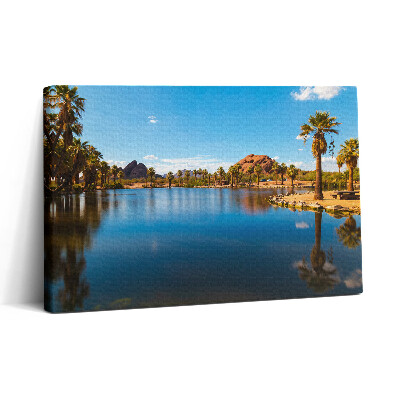 Vászonkép nyomtatás 30x20 A Papago park tájképe