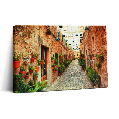 Vászonkép nyomtatás 30x20 Utca Valldemossa faluban