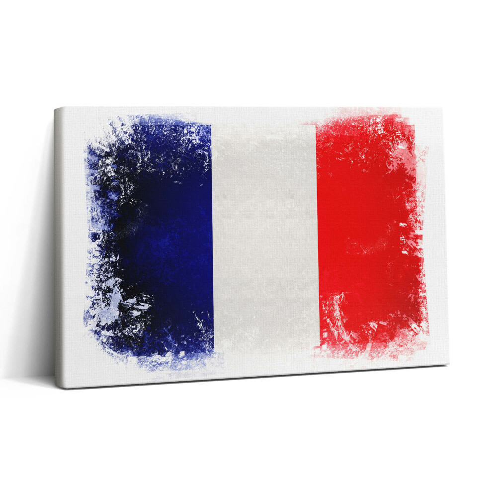 Vászonkép nyomtatás 30x20 Francia zászló