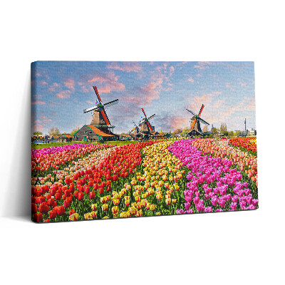 Vászonkép nyomtatás 30x20 Tájkép tulipánokkal Hollandia