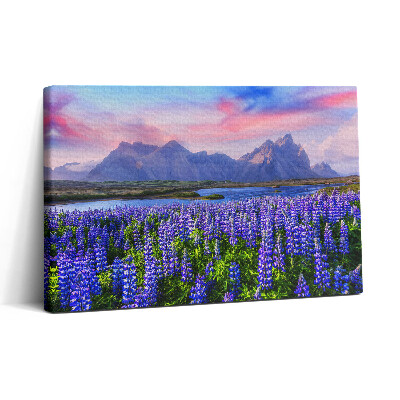 Vászonkép nyomtatás 30x20 Levendulamezők - Izland