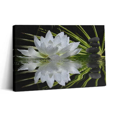 Vászonkép nyomtatás 30x20 Tavirózsa és levelek