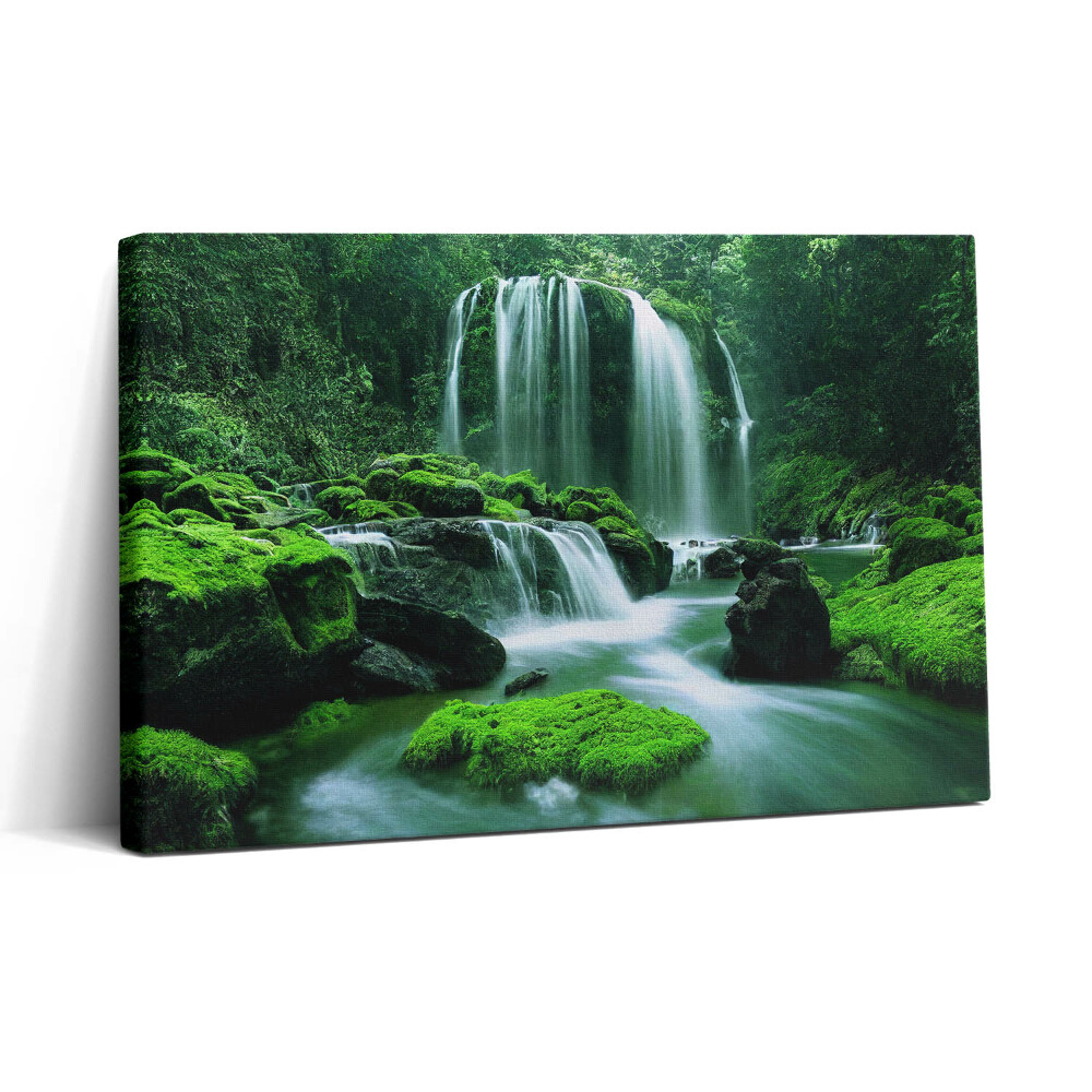 Vászonkép nyomtatás 30x20 Vízesés mohák között
