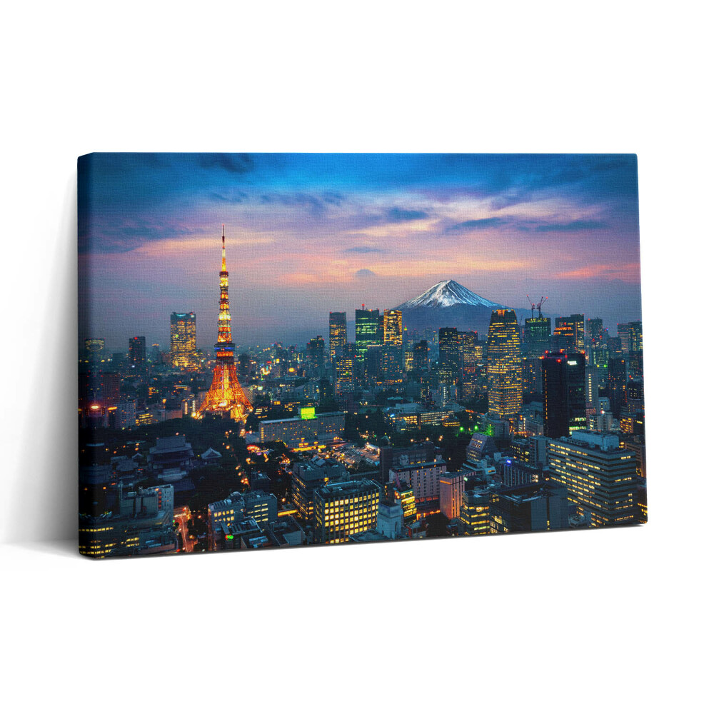 Vászonkép nyomtatás 30x20 Éjszakai város