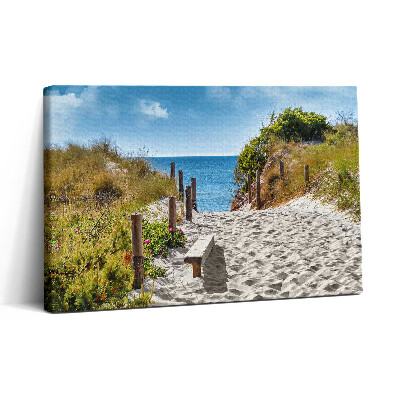 Vászonkép nyomtatás 30x20 Homokos út a tengerpartra és a tengerhez
