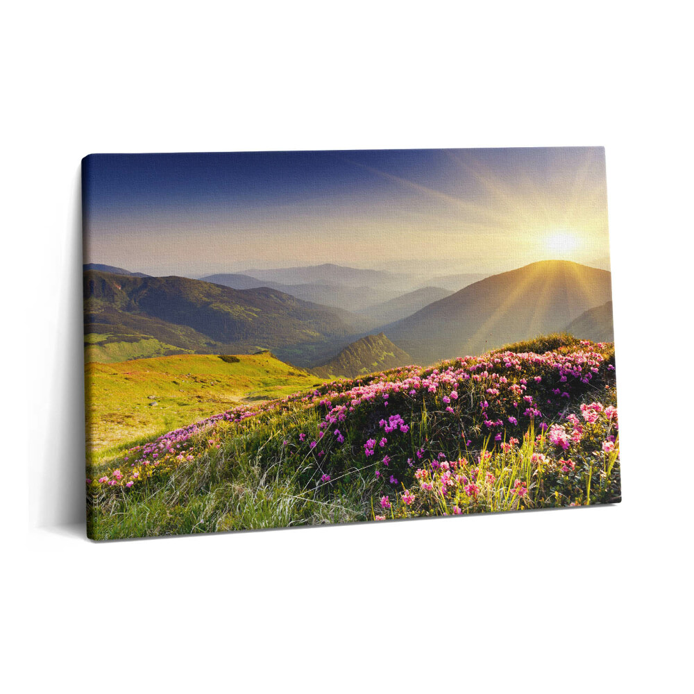 Canvas kép 60x40 Hegyek és egy virágos rét