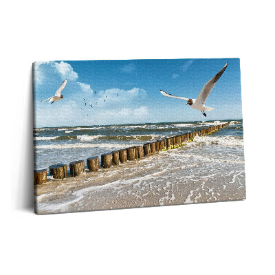 Canvas kép 60x40 Madár a tengerparton