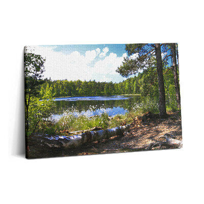 Canvas kép 60x40 Egy erdei tó látványa