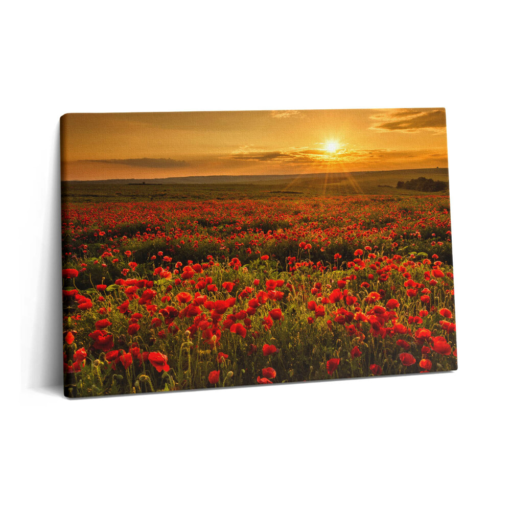 Canvas kép 60x40 Tájkép egy tisztáson pipacsokkal