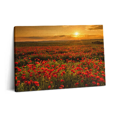 Canvas kép 60x40 Tájkép egy tisztáson pipacsokkal