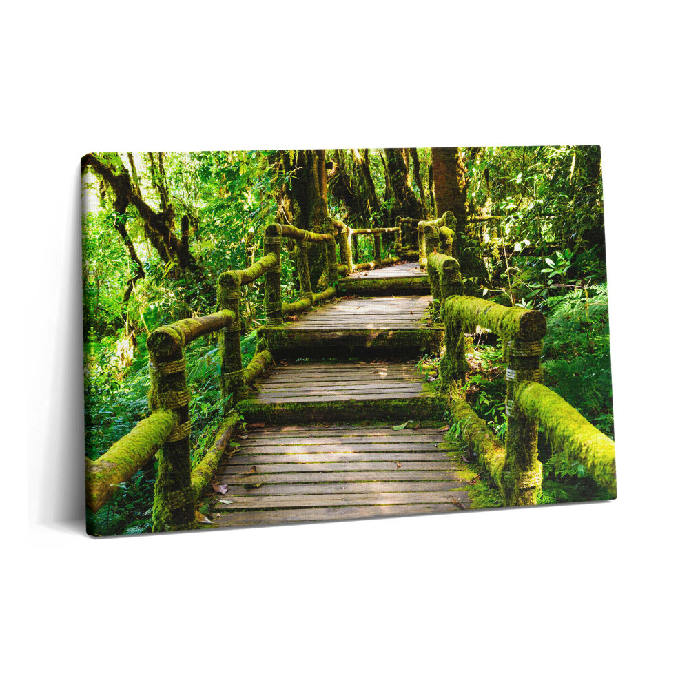 Canvas kép 60x40 Fából készült gyaloghíd - agroturizmus