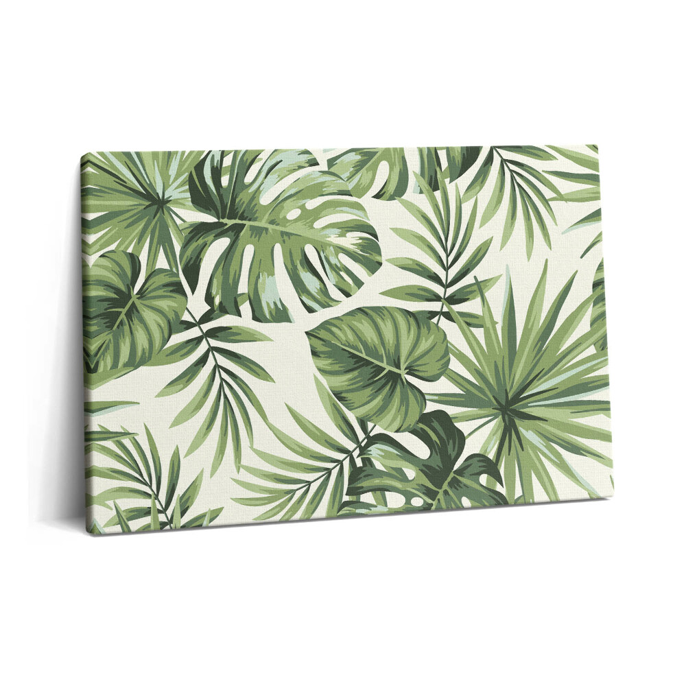 Canvas kép 60x40 Monstera levél illusztráció