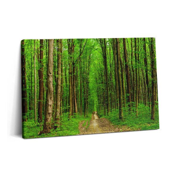 Canvas kép 60x40 Erdei ösvény a fák között