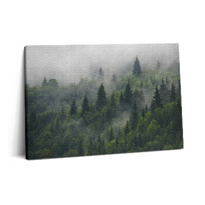 Canvas kép 60x40 Erdei táj ködben