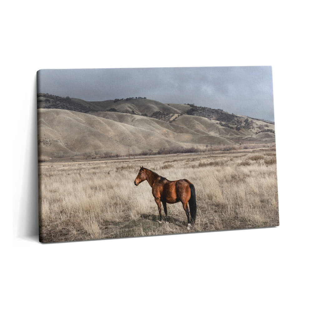 Canvas kép 60x40 Ménes a fű között