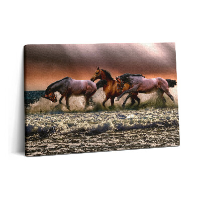 Canvas kép 60x40 Vízbe bukott lovak
