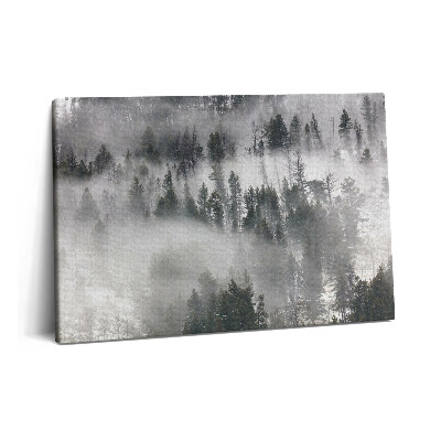 Canvas kép 60x40 Ködös erdei táj