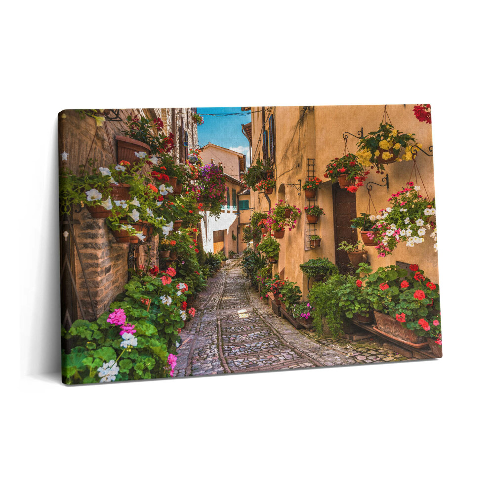 Canvas kép 60x40 Virágos utca Umbriában