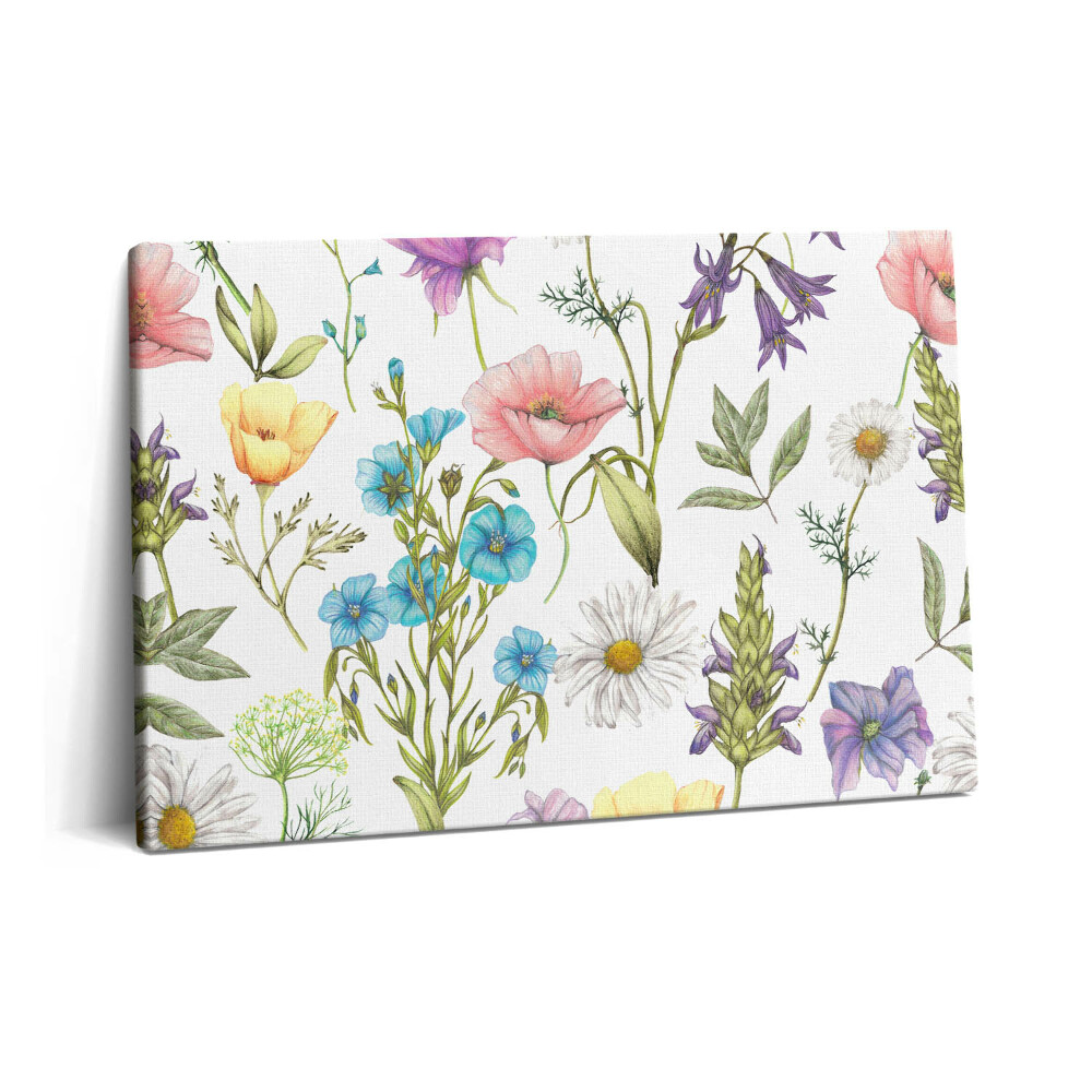 Canvas kép 60x40 Virágillusztráció - virágos rét