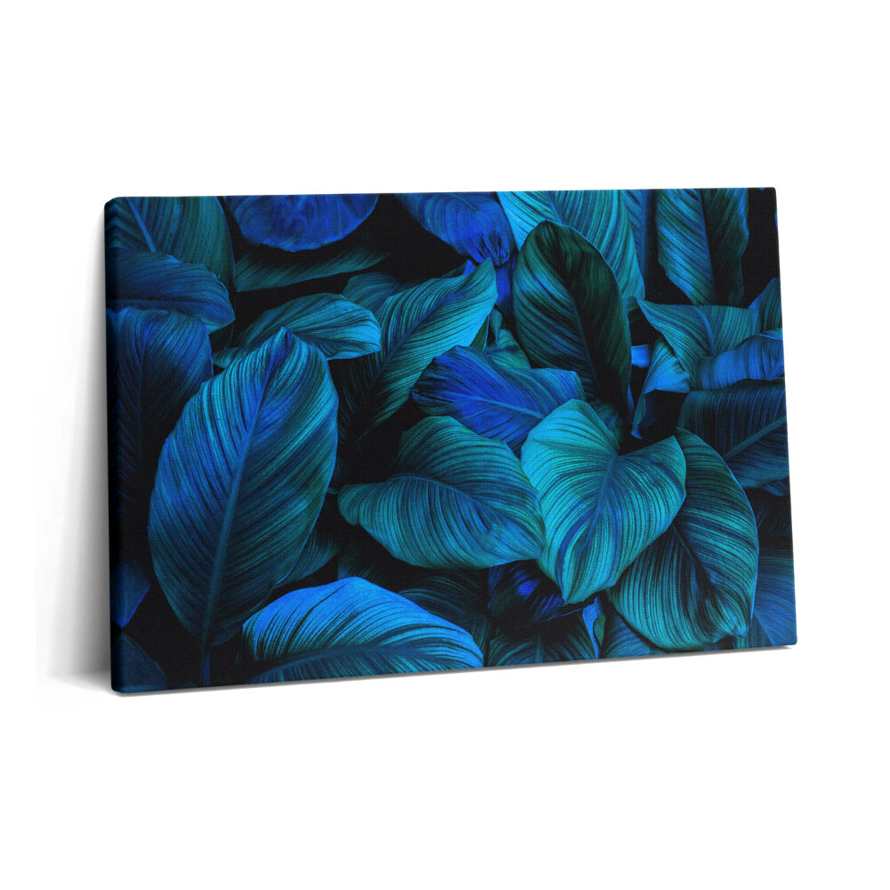 Canvas kép 60x40 Trópusi természet