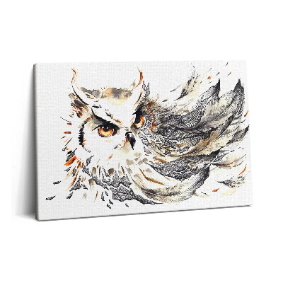 Canvas kép 60x40 Bagoly a bölcsesség és a tudomány szimbóluma