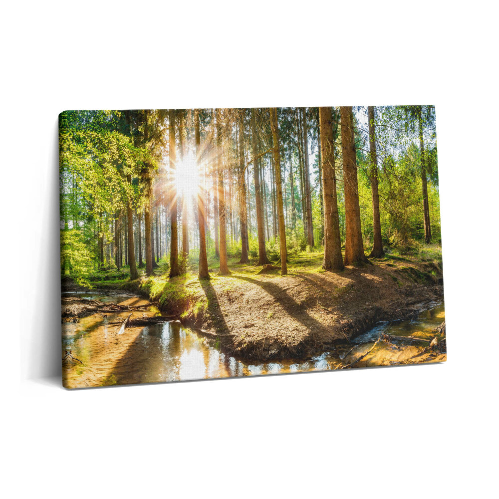 Canvas kép 60x40 Nap a fák mögött az erdőben