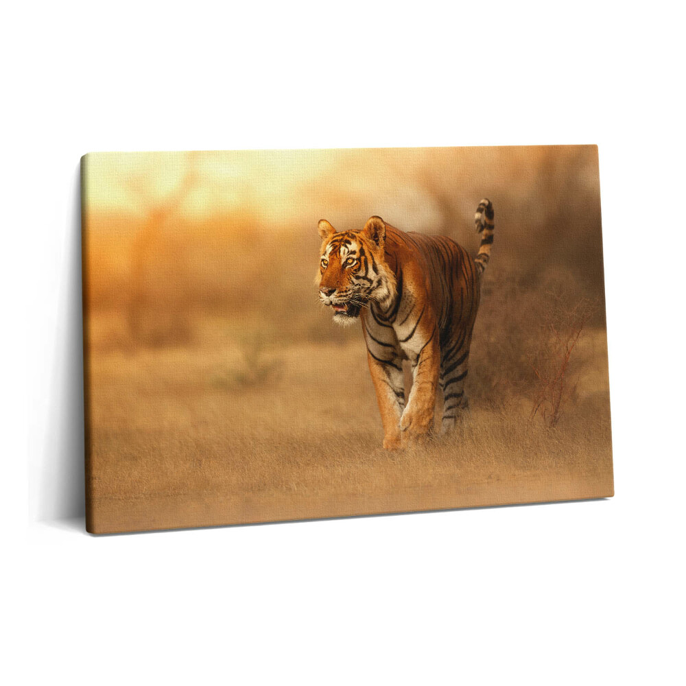 Canvas kép 60x40 Vad tigris vadászaton