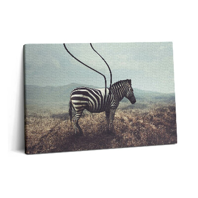 Canvas kép 60x40 Illusztráció zebracsíkokkal