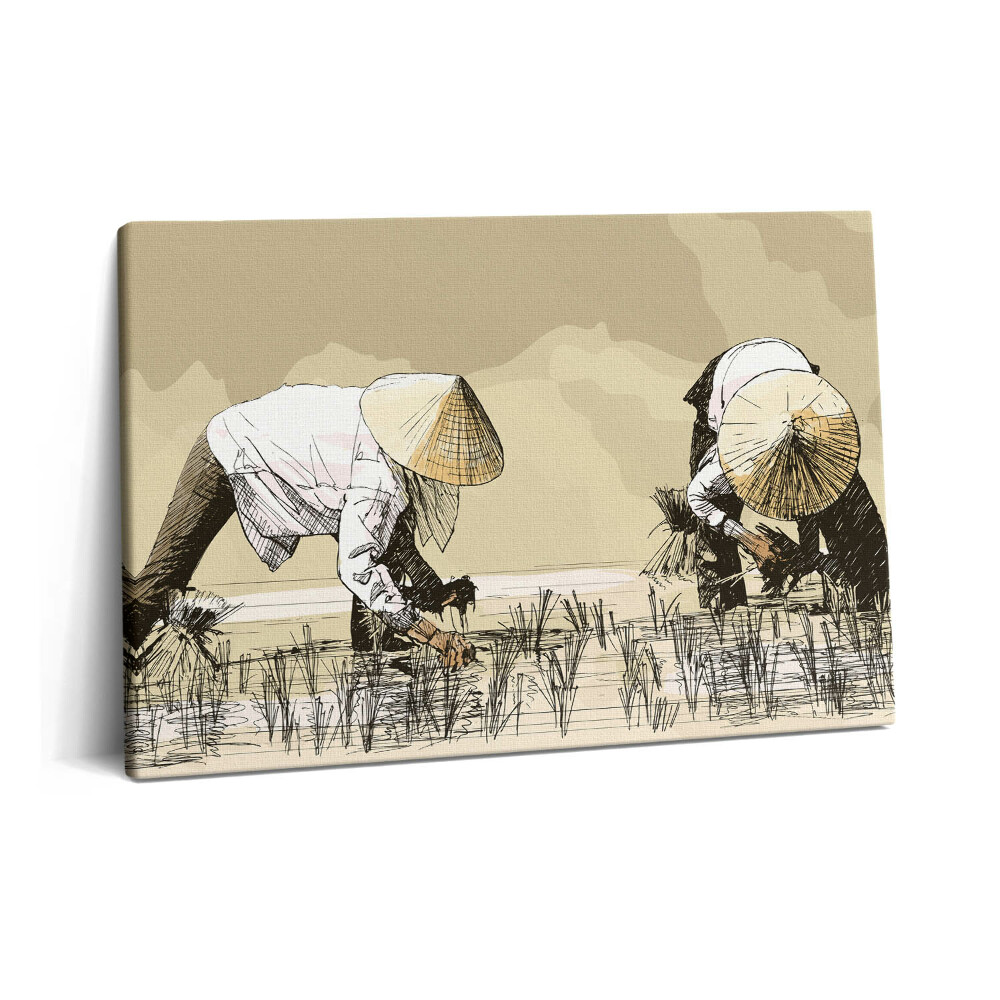 Canvas kép 60x40 Két nő rizst szed Ázsiában