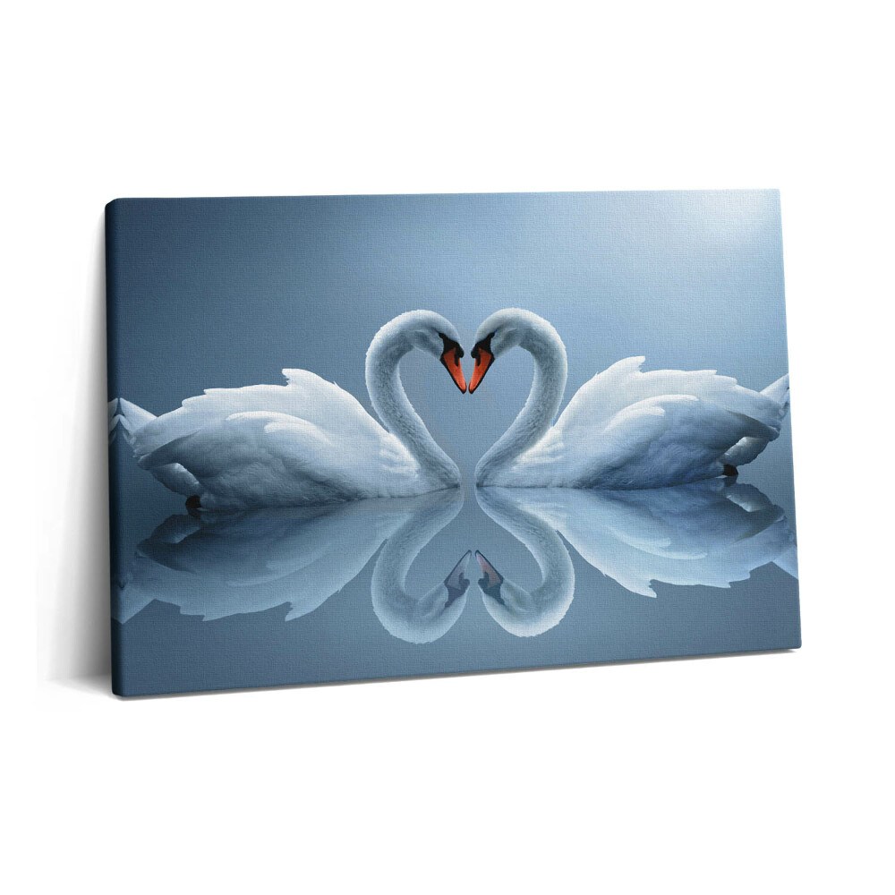 Canvas kép 60x40 Hattyúk a szerelem jeleként