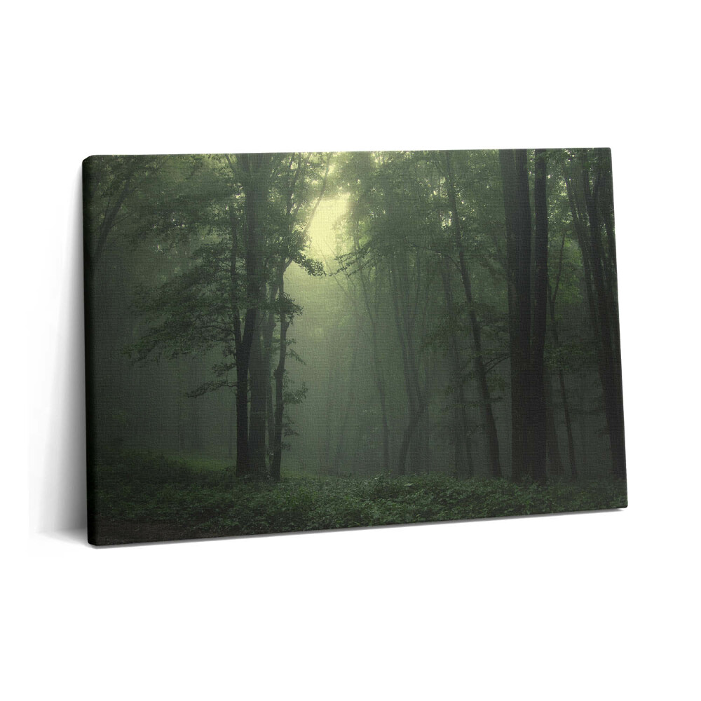 Canvas kép 60x40 Ködös erdő reggel