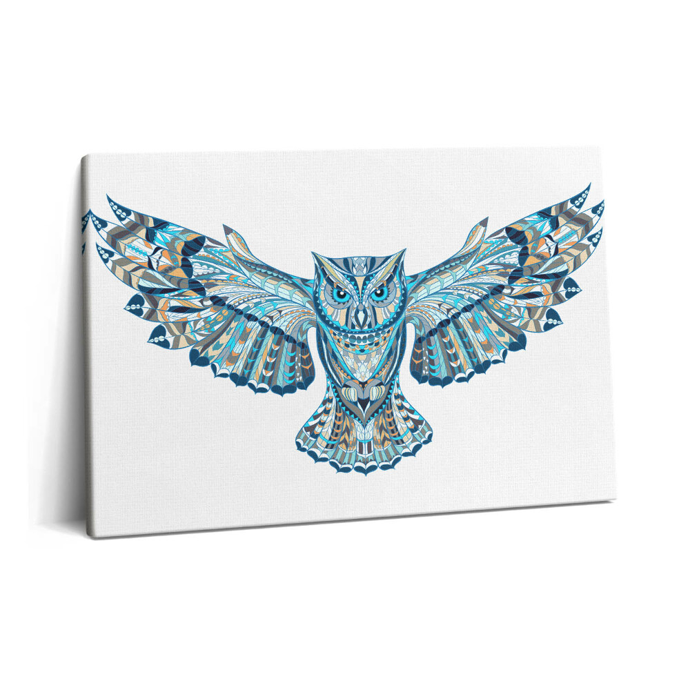 Canvas kép 60x40 Bagoly repülés közben