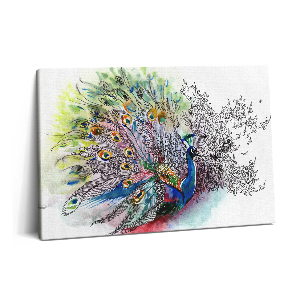 Canvas kép 60x40 Színes páva