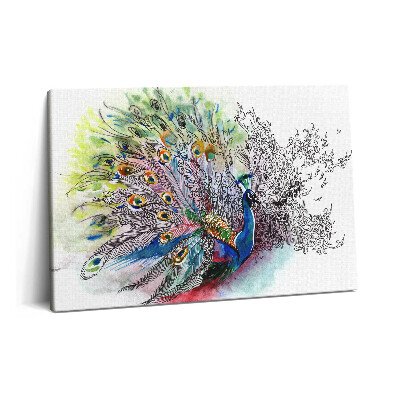 Canvas kép 60x40 Színes páva