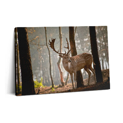 Canvas kép 60x40 Szarvas a felkelő nap fényében