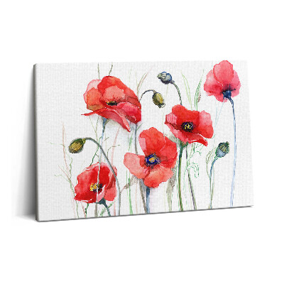 Canvas kép 60x40 Festményművészet - vörös pipacsok