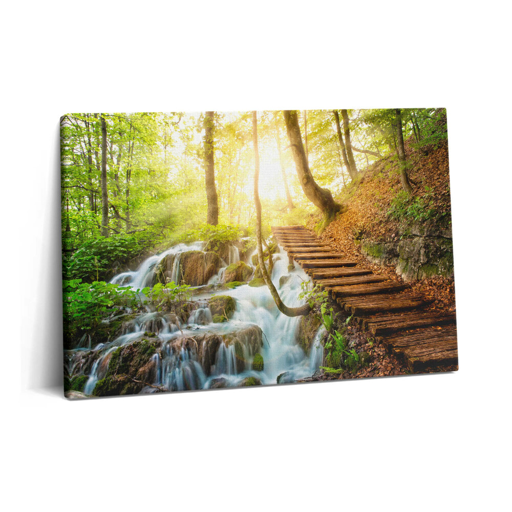 Canvas kép 60x40 Patak és lépcső az erdőben