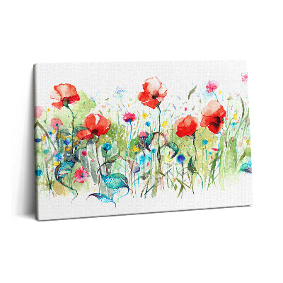 Canvas kép 60x40 Pipacsok egy réten