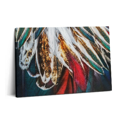 Canvas kép 60x40 Világosbarna madártollak