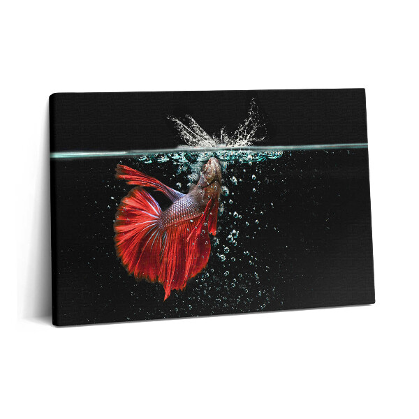 Canvas kép 60x40 Halak egy akváriumban